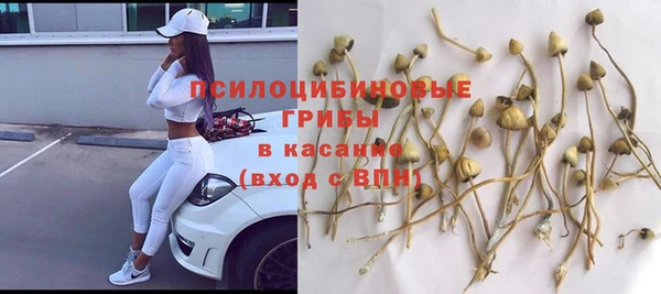 стаф Алексеевка