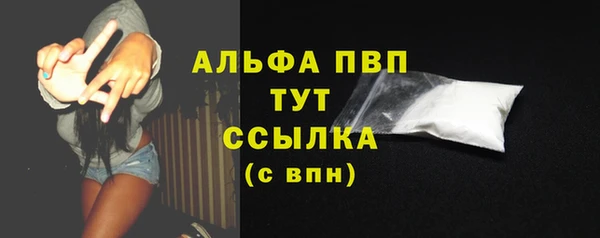 винт Алзамай