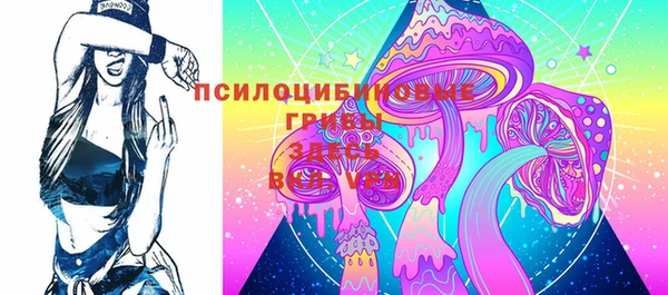 стаф Алексеевка