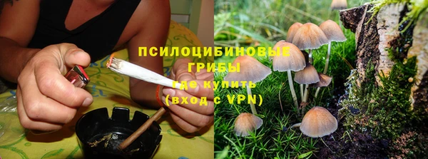 винт Алзамай
